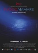 Gori more (2016)<br><small><i>Fuocoammare</i></small>