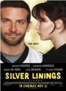 U dobru i u zlu (2012)<br><small><i>The Silver Linings Playbook</i></small>