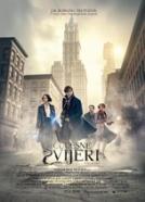 <b>Colleen Atwood</b><br>Čudesne zvijeri i gdje ih naći (2016)<br><small><i>Fantastic Beasts and Where to Find Them</i></small>