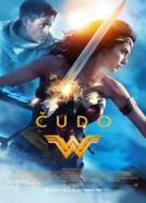 Wonder Woman (2017)<br><small><i>Wonder Woman</i></small>