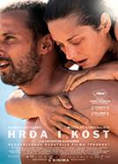 Hrđa i kost