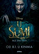 <b>Dennis Gassner & Anna Pinnock</b><br>U šumi (2014)<br><small><i>Into the Woods</i></small>