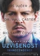 Uzvišenost