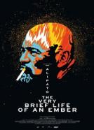 ALIPATO: The Very Brief Life of an Ember