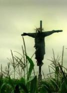 The Confession (2010)<br><small><i>The Confession</i></small>