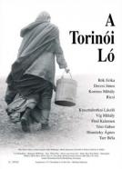 Torinski konj