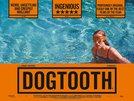 Dogtooth