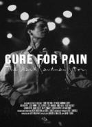 Cure for Pain: The Mark Sandman Story