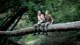 Film - Les combattants