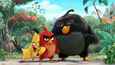 Film - Angry Birds Film