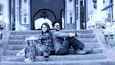 Film - Dilwale