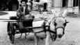 Film - Peggy Guggenheim: Art Addict