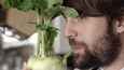 Film - Noma My Perfect Storm