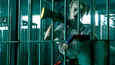 Film - Birds of Prey i emancipacija famozne Harley Quinn