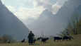Film - A Shelter Among the Clouds