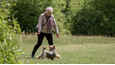 Film - 23 Walks