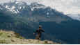 Film - Der Fuchs