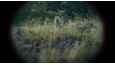 Film - Nebelkind - The End of Silence