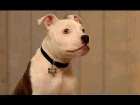Up on the Wooftop - trailer 1