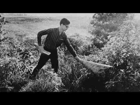 Tony Conrad: Completely in the Present - trailer