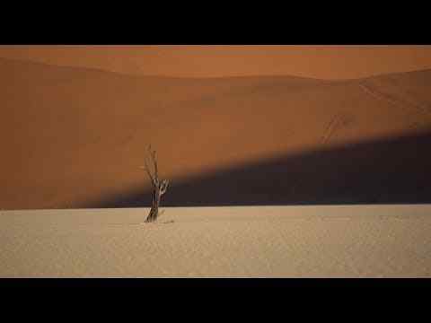 In Praise of Nothing - trailer