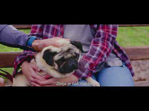 Moj pas Patrick - trailer 1