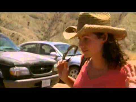 The Virgin of Juarez - trailer