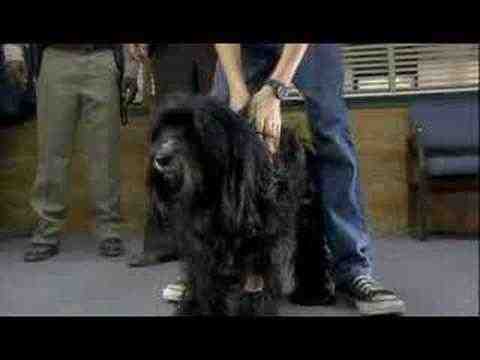 Benji: Off the Leash! - trailer