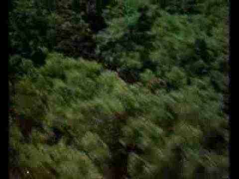 Sunshine - trailer