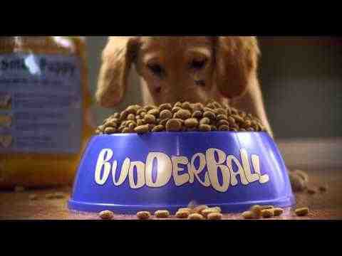 Air Buddies - trailer