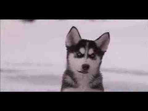 Snow Buddies - trailer