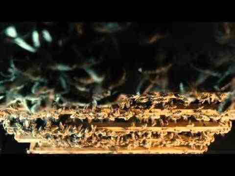 More Than Honey - trailer