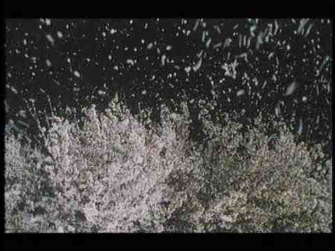 Rikyu - clip
